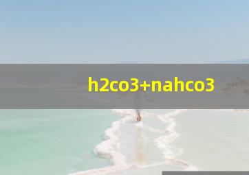 h2co3+nahco3